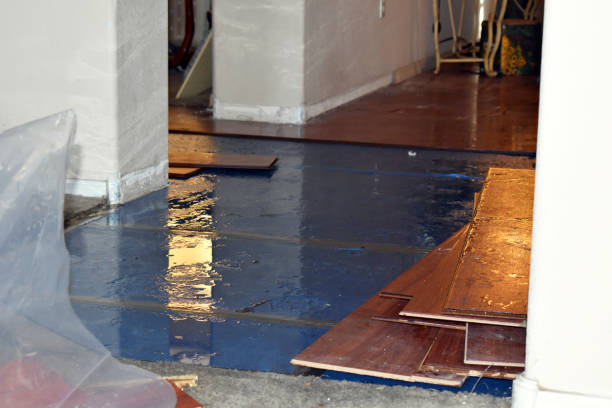 Professional Burst Pipe Cleanup technician working in Great Lakes, IL